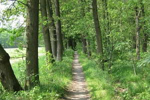 Fietspatt in Weseke Fietspatt in Weseke