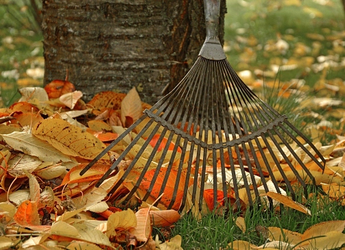 Herbst Garten © pixabay