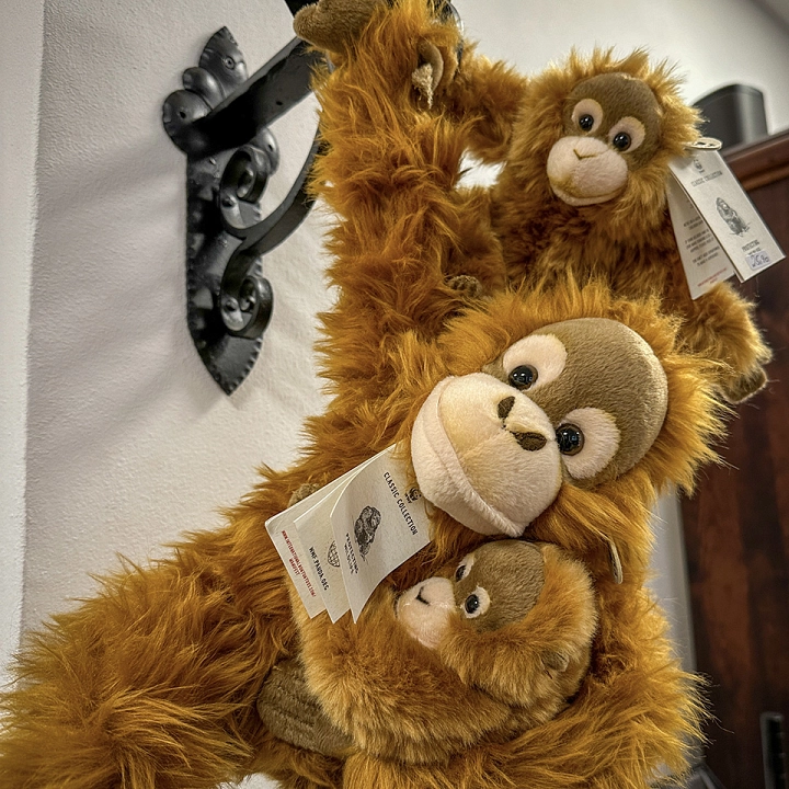 WWF-Plüschtiere Orangutans_RHEDENSwert © Stadt Rhede